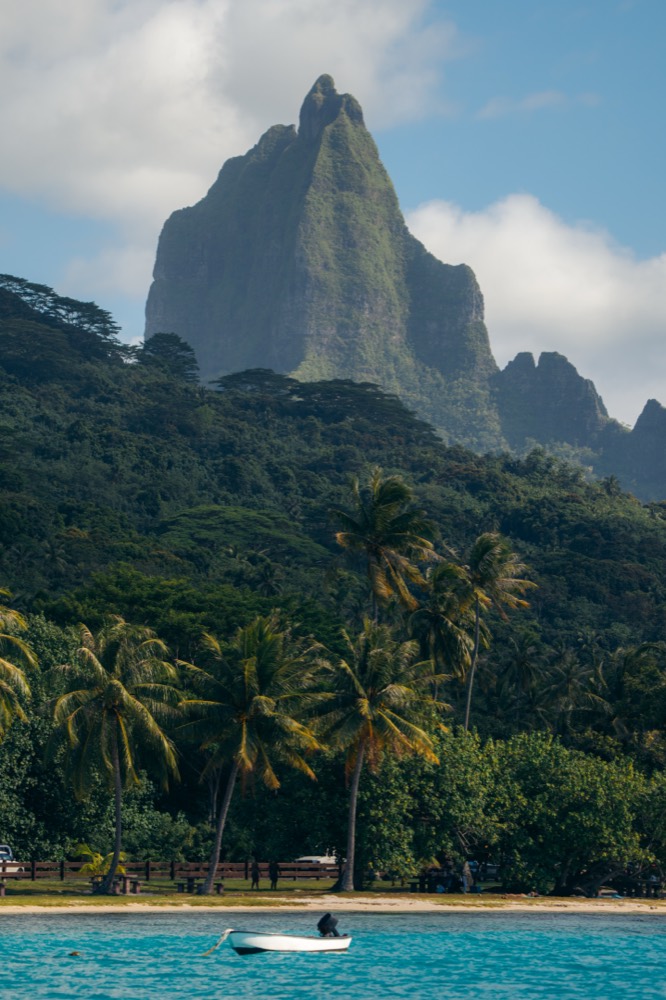 Mo'orea's peaks through the palms from the beach