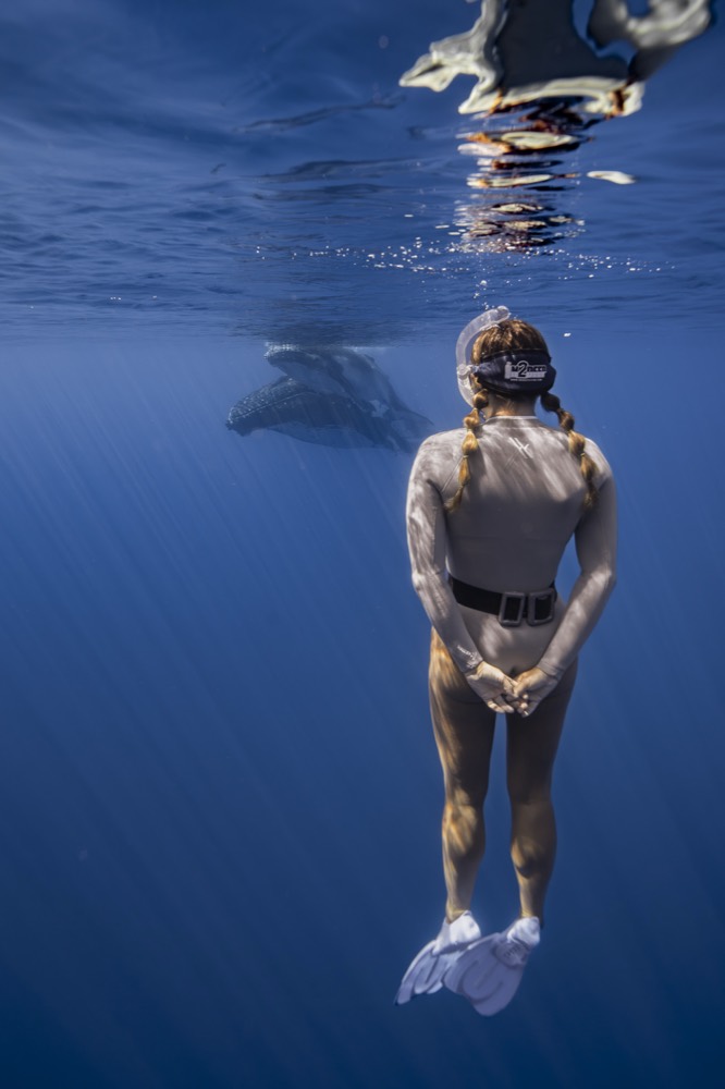 Freediver seen from behind with a humpback whale ahead, Tahiti
