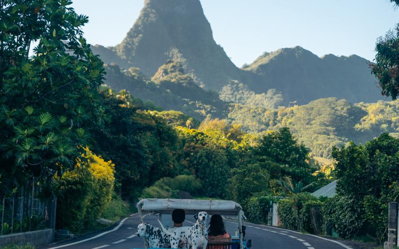 The coast road on Mo'orea in evening light, a Land Cruiser under the needle peak